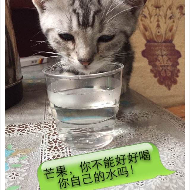 科威斯设计学院教育部留服认证